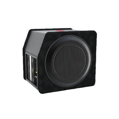 Subwoofer auto activ Nakamichi, 10 inch, 100 W RMS, 1000W max
