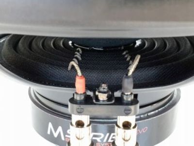 Subwoofer pasiv cu incinta, Audio System, SUBFRAME, 600 w rms, 800 w max, 2 x 10", roata de rezerva